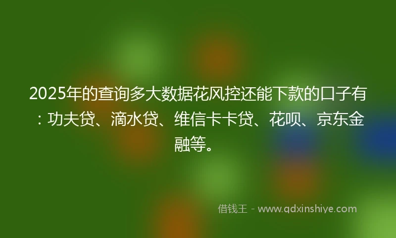 2025年的查询多大数据花风控还能下款的口子有：功夫贷、滴水贷、维信卡卡贷、花呗、京东金融等。