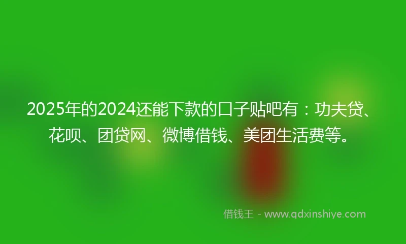 2025年的2024还能下款的口子贴吧有：功夫贷、花呗、团贷网、微博借钱、美团生活费等。