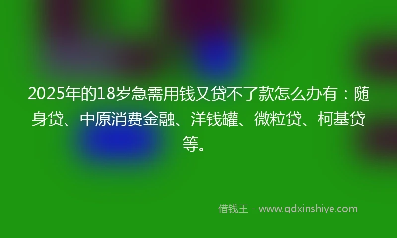 2025年的18岁急需用钱又贷不了款怎么办有：随身贷、中原消费金融、洋钱罐、微粒贷、柯基贷等。