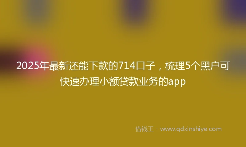 2025年最新还能下款的714口子，梳理5个黑户可快速办理小额贷款业务的app