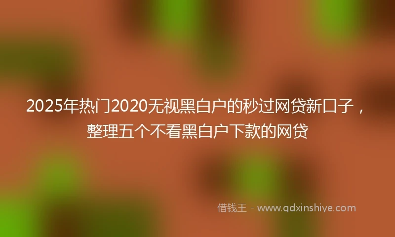 2025年热门2020无视黑白户的秒过网贷新口子，整理五个不看黑白户下款的网贷