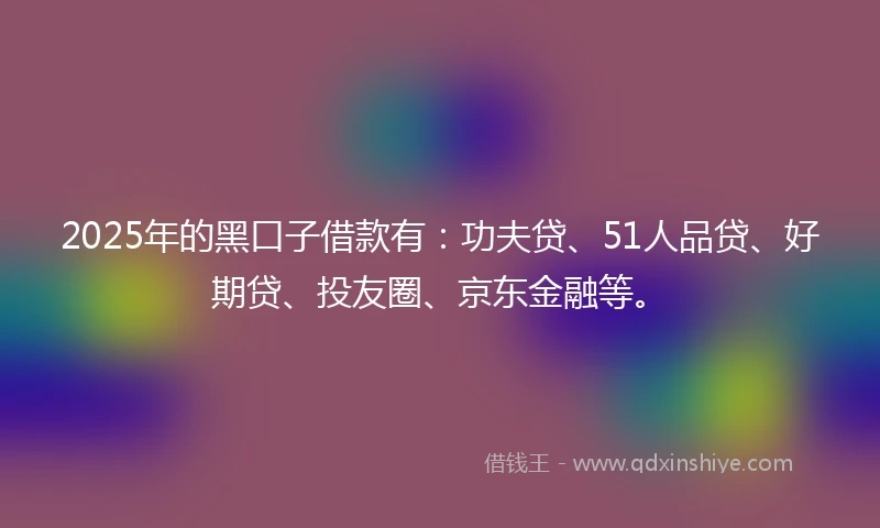 2025年的黑口子借款有：功夫贷、51人品贷、好期贷、投友圈、京东金融等。