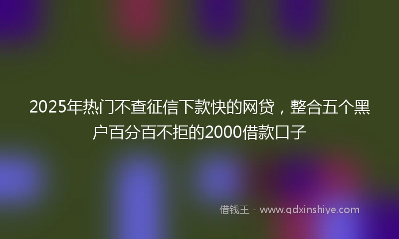 2025年热门不查征信下款快的网贷，整合五个黑户百分百不拒的2000借款口子
