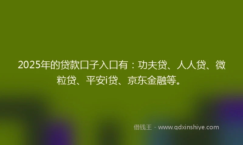 2025年的贷款口子入口有：功夫贷、人人贷、微粒贷、平安i贷、京东金融等。