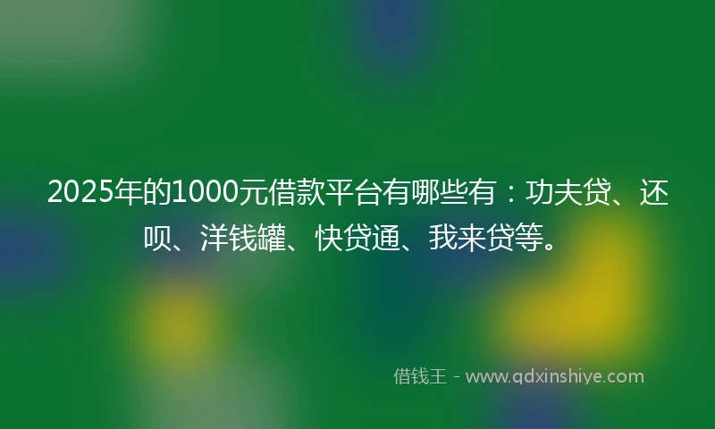 2025年的1000元借款平台有哪些有：功夫贷、还呗、洋钱罐、快贷通、我来贷等。