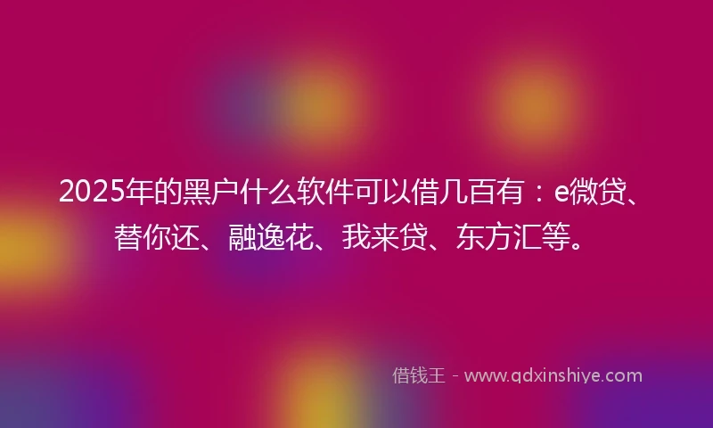 2025年的黑户什么软件可以借几百有：e微贷、替你还、融逸花、我来贷、东方汇等。