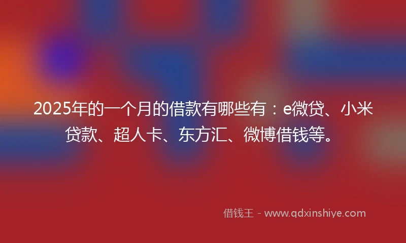 2025年的一个月的借款有哪些有：e微贷、小米贷款、超人卡、东方汇、微博借钱等。