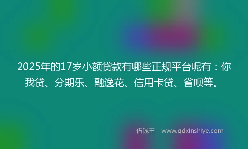 2025年的17岁小额贷款有哪些正规平台呢有：你我贷、分期乐、融逸花、信用卡贷、省呗等。