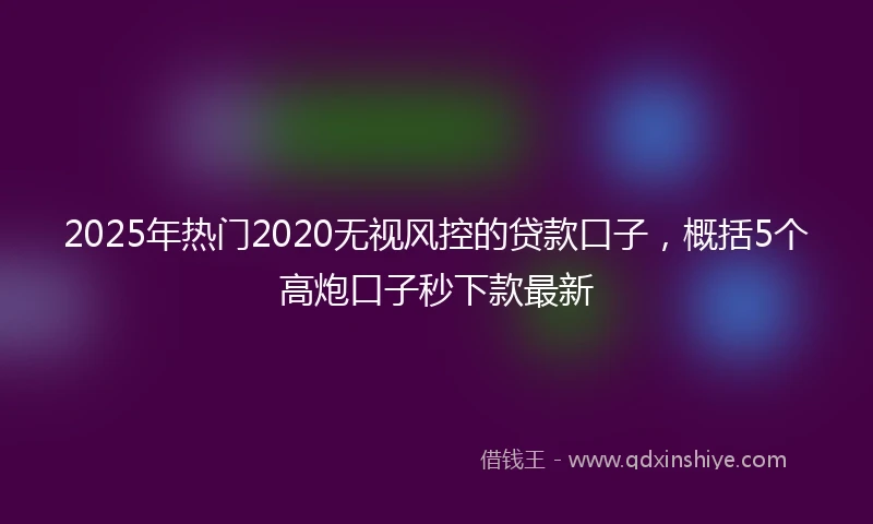 2025年热门2020无视风控的贷款口子，概括5个高炮口子秒下款最新