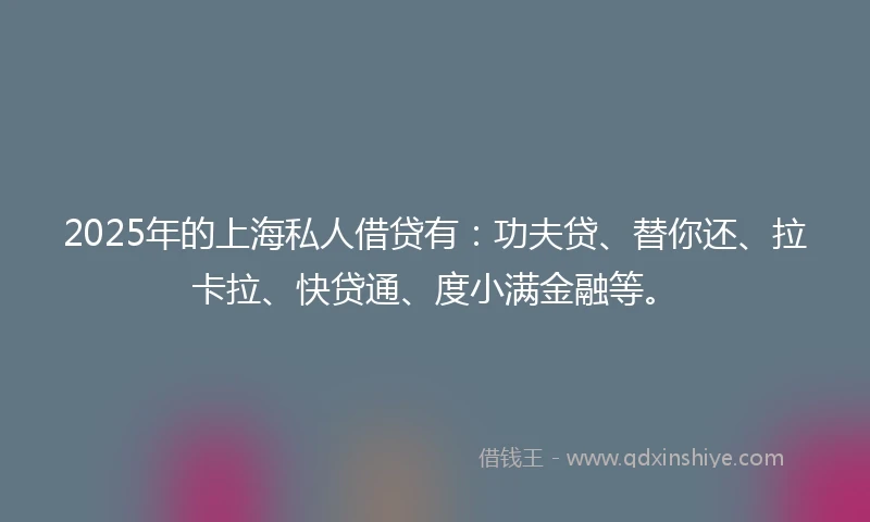 2025年的上海私人借贷有：功夫贷、替你还、拉卡拉、快贷通、度小满金融等。