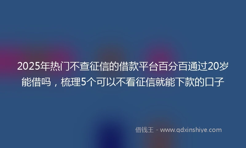 2025年热门不查征信的借款平台百分百通过20岁能借吗，梳理5个可以不看征信就能下款的口子