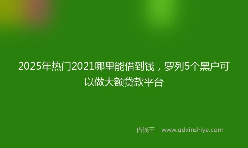 2025年热门2021哪里能借到钱，罗列5个黑户可以做大额贷款平台