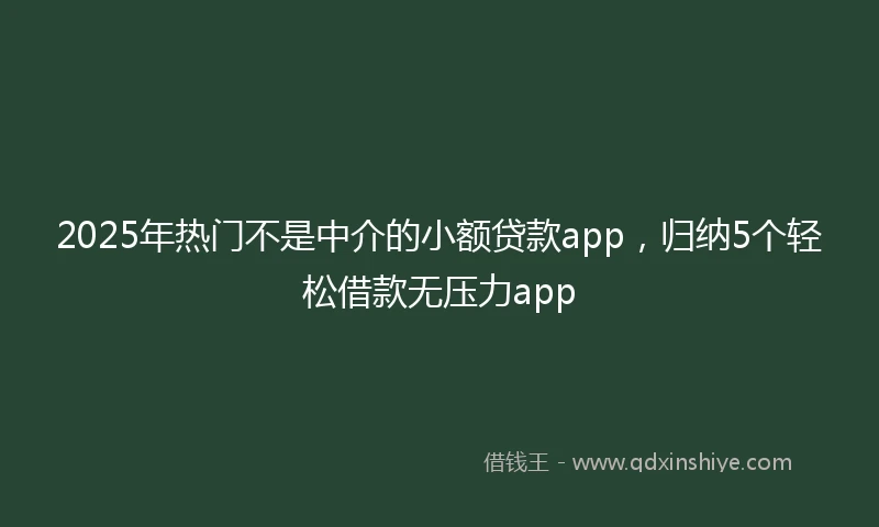 2025年热门不是中介的小额贷款app，归纳5个轻松借款无压力app