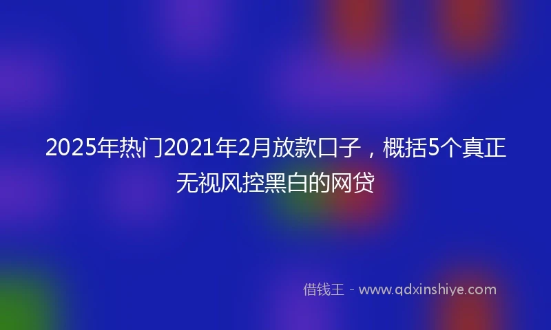 2025年热门2021年2月放款口子，概括5个真正无视风控黑白的网贷