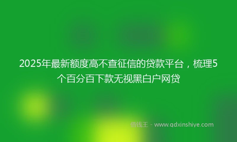 2025年最新额度高不查征信的贷款平台，梳理5个百分百下款无视黑白户网贷