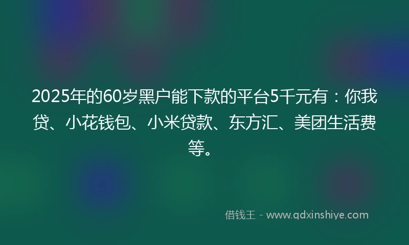2025年的60岁黑户能下款的平台5千元有：你我贷、小花钱包、小米贷款、东方汇、美团生活费等。