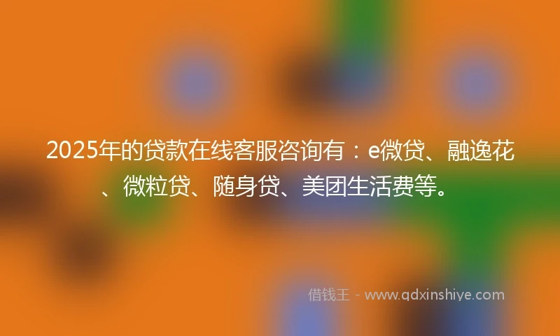 2025年的贷款在线客服咨询有：e微贷、融逸花、微粒贷、随身贷、美团生活费等。