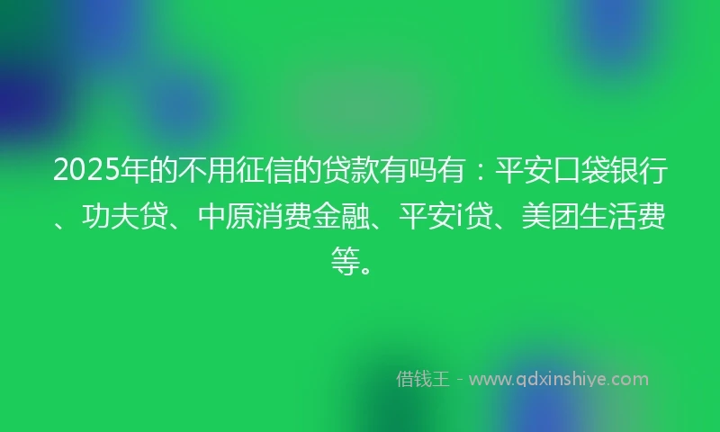 2025年的不用征信的贷款有吗有：平安口袋银行、功夫贷、中原消费金融、平安i贷、美团生活费等。