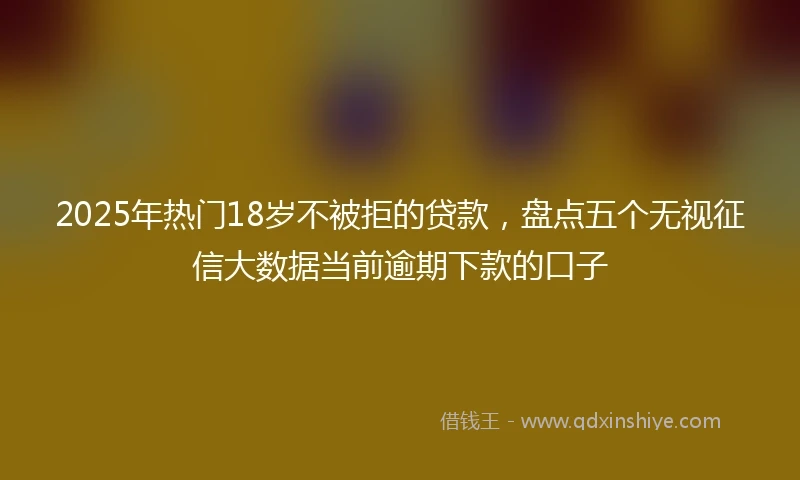 2025年热门18岁不被拒的贷款，盘点五个无视征信大数据当前逾期下款的口子