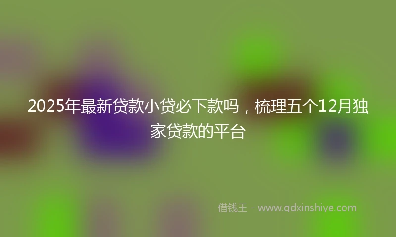 2025年最新贷款小贷必下款吗，梳理五个12月独家贷款的平台
