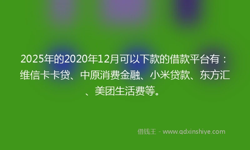 2025年的2020年12月可以下款的借款平台有：维信卡卡贷、中原消费金融、小米贷款、东方汇、美团生活费等。