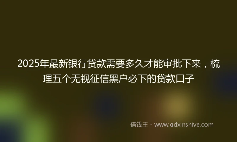 2025年最新银行贷款需要多久才能审批下来，梳理五个无视征信黑户必下的贷款口子