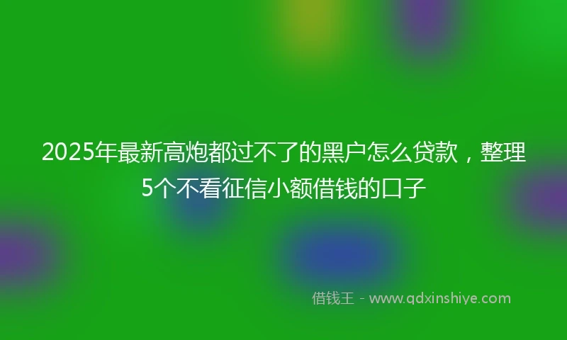 2025年最新高炮都过不了的黑户怎么贷款，整理5个不看征信小额借钱的口子