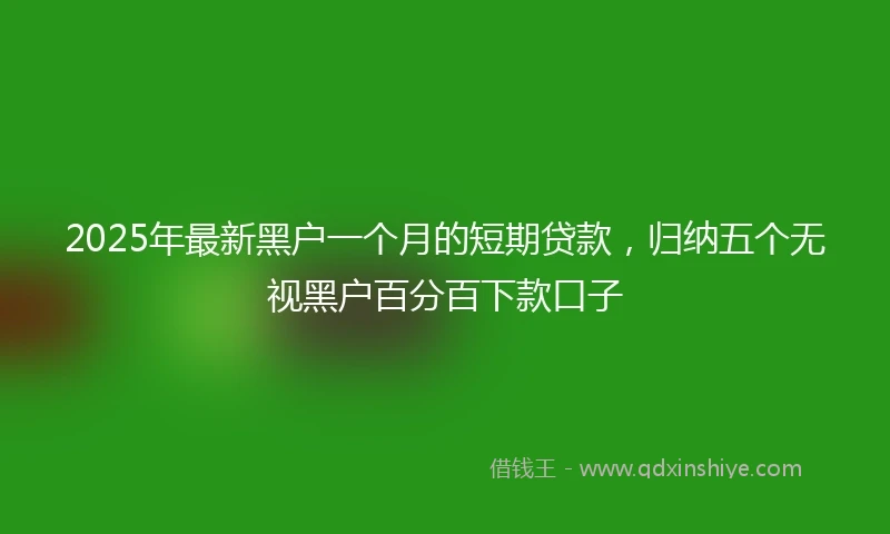 2025年最新黑户一个月的短期贷款，归纳五个无视黑户百分百下款口子
