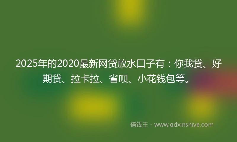 2025年的2020最新网贷放水口子有：你我贷、好期贷、拉卡拉、省呗、小花钱包等。