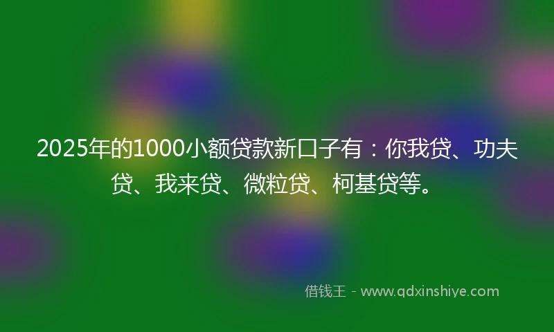 2025年的1000小额贷款新口子有：你我贷、功夫贷、我来贷、微粒贷、柯基贷等。