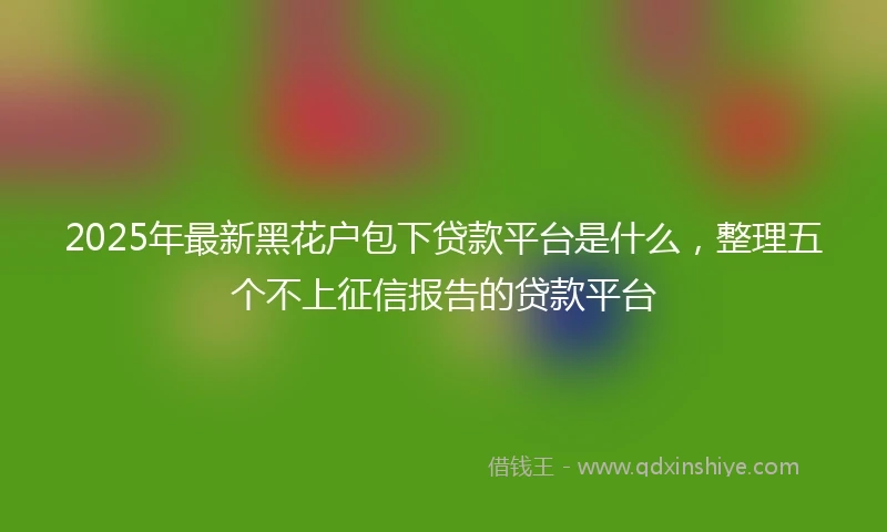 2025年最新黑花户包下贷款平台是什么，整理五个不上征信报告的贷款平台