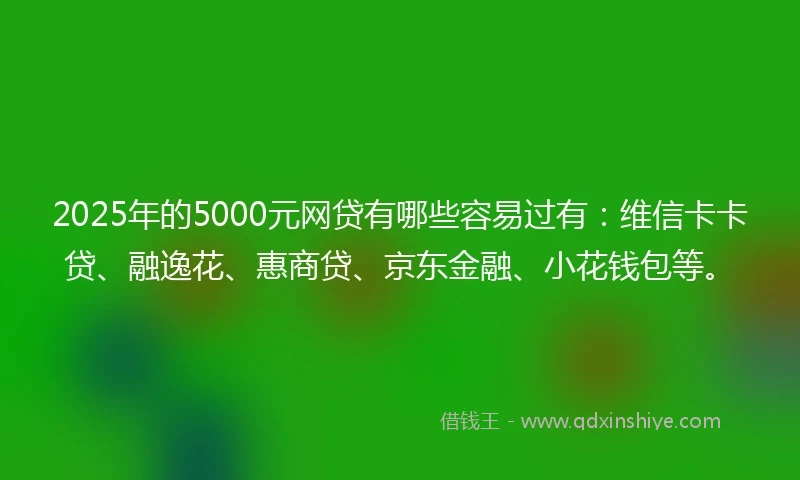 2025年的5000元网贷有哪些容易过有：维信卡卡贷、融逸花、惠商贷、京东金融、小花钱包等。