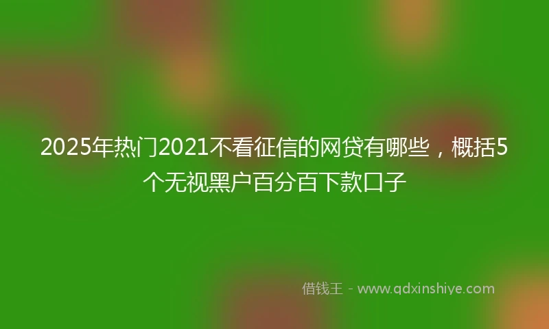 2025年热门2021不看征信的网贷有哪些，概括5个无视黑户百分百下款口子