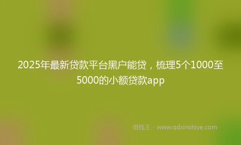 2025年最新贷款平台黑户能贷，梳理5个1000至5000的小额贷款app