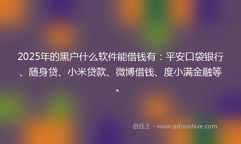 2025年的黑户什么软件能借钱有：平安口袋银行、随身贷、小米贷款、微博借钱、度小满金融等。