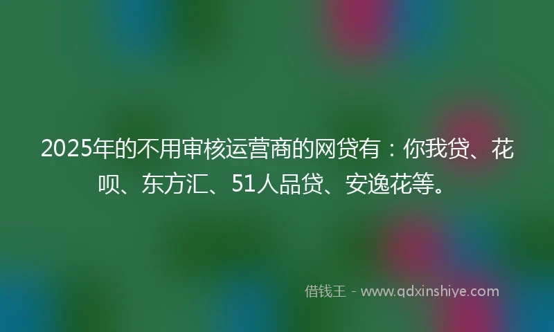2025年的不用审核运营商的网贷有：你我贷、花呗、东方汇、51人品贷、安逸花等。