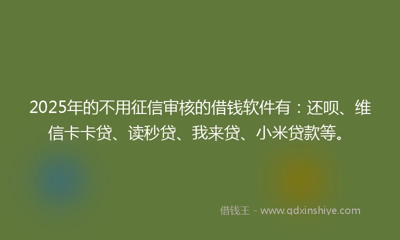 2025年的不用征信审核的借钱软件有：还呗、维信卡卡贷、读秒贷、我来贷、小米贷款等。