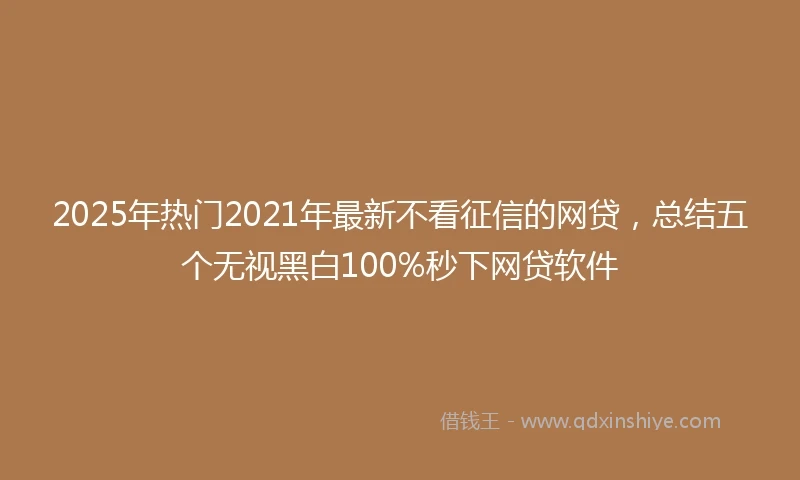 2025年热门2021年最新不看征信的网贷，总结五个无视黑白100%秒下网贷软件