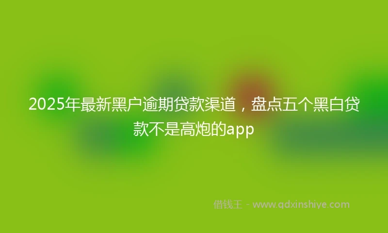 2025年最新黑户逾期贷款渠道，盘点五个黑白贷款不是高炮的app