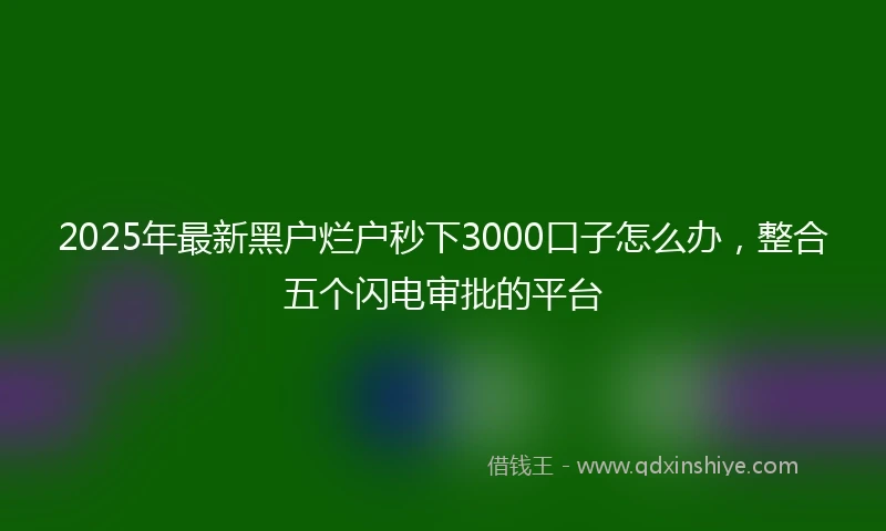 2025年最新黑户烂户秒下3000口子怎么办，整合五个闪电审批的平台