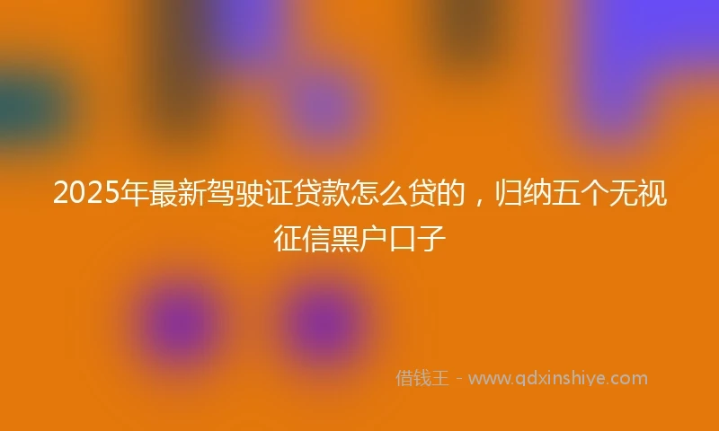 2025年最新驾驶证贷款怎么贷的，归纳五个无视征信黑户口子