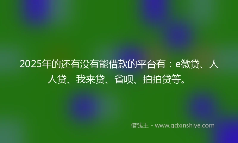 2025年的还有没有能借款的平台有：e微贷、人人贷、我来贷、省呗、拍拍贷等。
