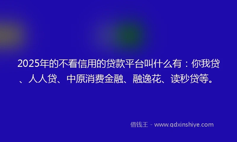 2025年的不看信用的贷款平台叫什么有：你我贷、人人贷、中原消费金融、融逸花、读秒贷等。