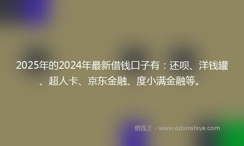 2025年的2024年最新借钱口子有：还呗、洋钱罐、超人卡、京东金融、度小满金融等。