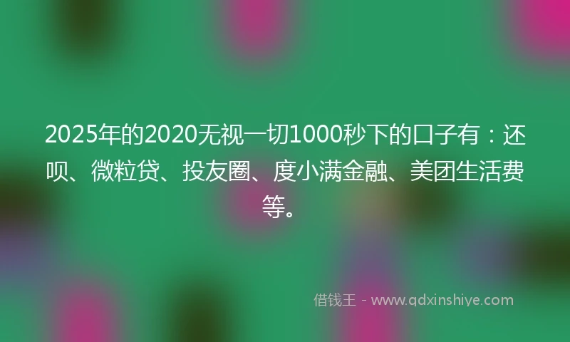 2025年的2020无视一切1000秒下的口子有：还呗、微粒贷、投友圈、度小满金融、美团生活费等。