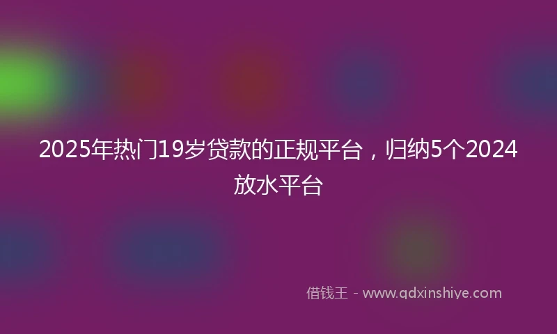 2025年热门19岁贷款的正规平台，归纳5个2024放水平台