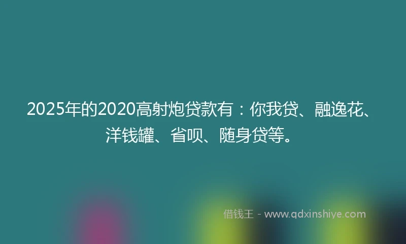 2025年的2020高射炮贷款有：你我贷、融逸花、洋钱罐、省呗、随身贷等。