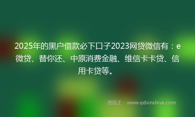 2025年的黑户借款必下口子2023网贷微信有：e微贷、替你还、中原消费金融、维信卡卡贷、信用卡贷等。