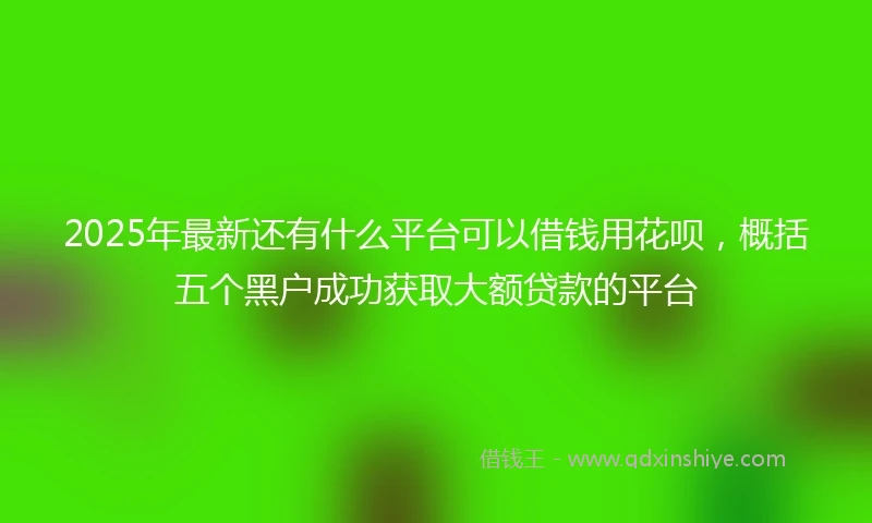 2025年最新还有什么平台可以借钱用花呗，概括五个黑户成功获取大额贷款的平台