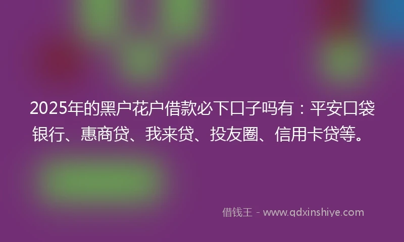 2025年的黑户花户借款必下口子吗有：平安口袋银行、惠商贷、我来贷、投友圈、信用卡贷等。